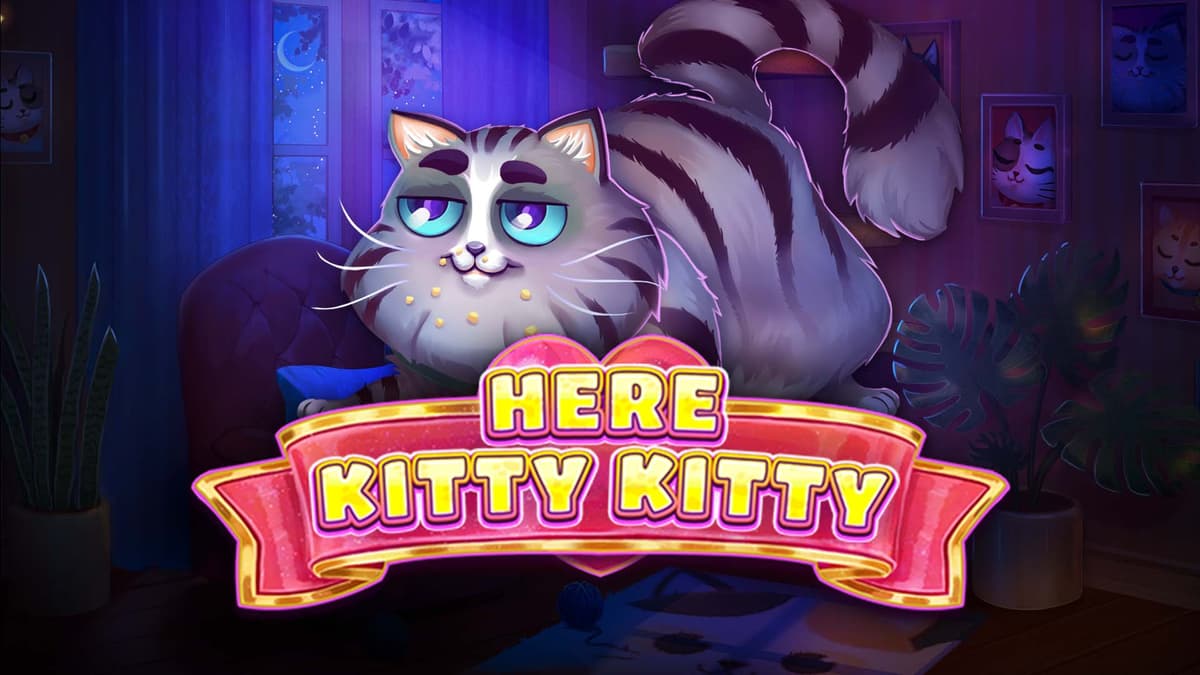 Here Kitty Kitty