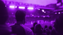 Ett fotbollsfan kollar på en match